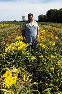 Above, Matt VanNatta, owner with his wife, Sheila, of Daylily Connection, stands in a field that Monet would have wanted to paint.&nbsp;(C-T photos John Guglielmi)