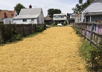 Seed and straw has been placed on a lot where a home was recently razed in New Albany. Staff photo by Daniel Suddeath