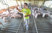 Lloyd Arthur is planning to expand his hog operation by constructing two animal barns on CR 300S, which is a permitted use on the land. Nearby residents have raised many concerns, including how the farm would affect property values. (Tom Russo / Daily Reporter)