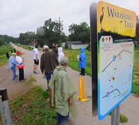 A small group of trail walkers split up, some heading straight back to Dewey Point from the south end, others walking to the west edge of West Terre Haute on the Wabashiki Trail on May 31, 2013. Staff photo by Jim Avelis