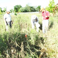 Keith Grabner, Janice Albers and Matthew Struckhoff were the U.S. Geological Survey ecologists who researched which plant species were present at the city-owned floodplain north of the Wabash River. The flooding caused the research done on Tuesday and Wednesday to be significantly cut back.