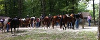 Horses and riders gather at Hickory Ridge Church in the Hoosier National Forest during a trail ride in this photo from June 2014. Courtesy photo