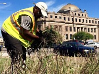 Gregory Bynum, 30, of Gary, works to clear weeds from the front of the Genesis Center as part of the city's Gary For Jobs and green urbanism programs. Staff photo by Lauri Harvey Keagle