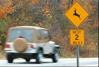 October, November and December are the leading months of the year for motor vehicle-deer collisions, according to a report from State Farm Insurance. SBT File Photo