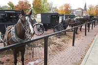 Amish buggies are tied to the hitching post along High Street in LaGrange, Indiana Wednesday. The LaGrange County commissioners voted against a proposed horse manure control ordinance Wednesday. Photo by Sam Householder/The Goshen News