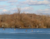 Minnehaha Fish and Wildlife Area, pictured above, will close April 1 after American Land Holdings of Indiana, a subsidiary of Peabody Energy, terminated a lease with the Indiana Department of Natural Resources&rsquo; Division of Fish and Wildlife on Jan. 12. Staff photo by Andrew Krull