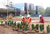 Crews were still working just two weeks ago on the landscaping and plaza outside the Speedway&rsquo;s new main entrance outside Turn 1. (IBJ photo/Lesley Weidenbener)