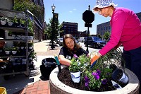 Volunteers Erin Steelman and Sandy Price plants flowers in downtown planters on May 18, 2016. Staff photo by Tim Bath