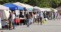 A constant flow of customers checked on the Pendleton Farmers Market on Saturday. Photo by David Humphrey
