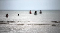 Swimmers wade in Lake Michigan on a calm day. But the lake has another side, too, one which has claimed 20 lives already this year. (Brian Cassella / Chicago Tribune)