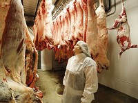 Owner Jessica Smith inspects beef carcasses in the hanging cooler Friday, July 22, 2016, at This Old Farm, 9572 W County Road 650 S in Colfax.&nbsp; Staff photo by John Terhune