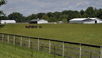 From stables to periodic tables: 1,100 acres of land will be acquired by Rose-Hulman Institute of Technology next year. The property includes the former home of Mari Hulman George, farmland and stables. Horses on the property will go to a rescue farm in Kentucky.