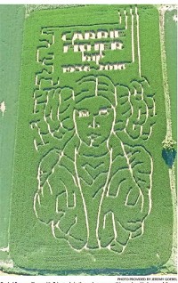 Goebel Farms will open it's Princess Leia-themed corn maze this weekend in honor of the late Carrie Fisher. Photo provided by Jeremy Goebel