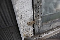 Chipped lead paint surrounds a window on a South Bend home. A federal grant was recently awarded to a local neighborhood group to combat a stubborn problem with lead-poisoned kids on the city&rsquo;s near northwest side. Tribune File Photo