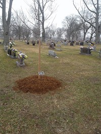 Connie Gerth and family recently bought and donated a Maple tree for Riverview Cemetery, in honor of Connie's deceased husband, Ron Gerth.
