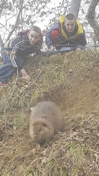 JT and Dillion Pruett of J&amp;R Nuisance Wildlife Control watch a beaver camper down a hillside. Courtesy photo