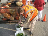 A New Castle Correctional Facility community serviceinmate helps distribute vegetables at God&rsquo;s Grain Bin. Last year, NCCF offenders farmed and donatedmore than a ton of producetolocal families. Provided photo