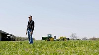 Dan Sutton stands on the the cover crops he uses on his farm to decrease erosion and improve the nutrients of the soil on his family's 1, 400 acres in Lowell. (Suzanne Tennant/Post Tribune)