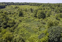 This aerial view shows the area of a bog recently purchased by the Shirley Heinze Land Trust west of South Bend that will become a preserve. It is not yet open to the public. Tribune Photo