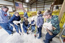 Anything is poss-able: Hancock County livestock program for children of all abilities expands in its second year