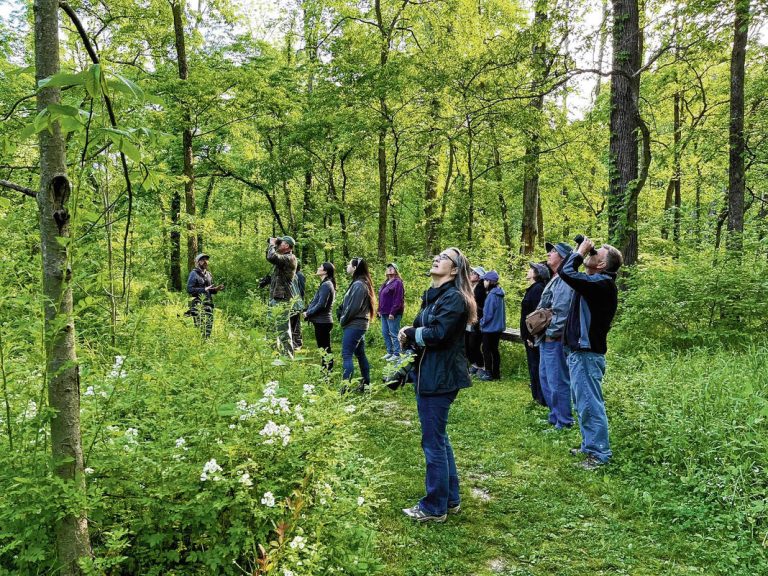 Greenfield Birders meets twice a month, April through October, in Greenfield parks. Submitted photo